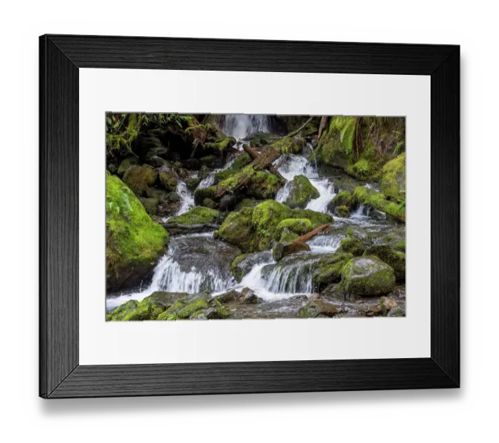 Framed Print : Quinault, Washington State, USA. Merriman Falls in the Quinault Rainforest