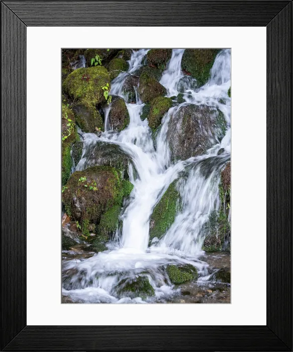 Framed Print : Quinault, Washington State, USA. Bunch Creek Falls in the Quinault Rainforest Framed Print : Quinault, Washington State, USA. Bunch Creek Falls in the Quinault Rainforest