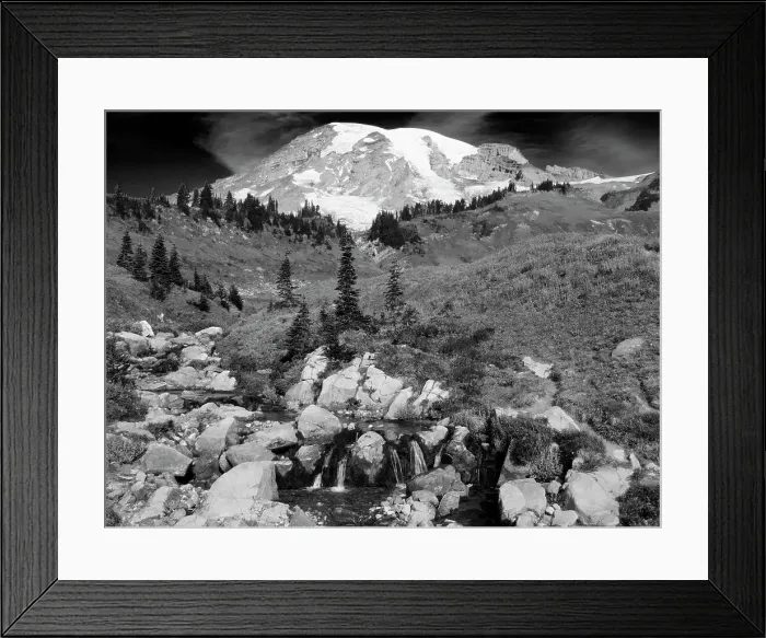 Framed Print : Washington State, Mount Rainier National Park. Mount Rainier and fall color with Edith Creek Framed Print : Washington State, Mount Rainier National Park. Mount Rainier and fall color with Edith Creek