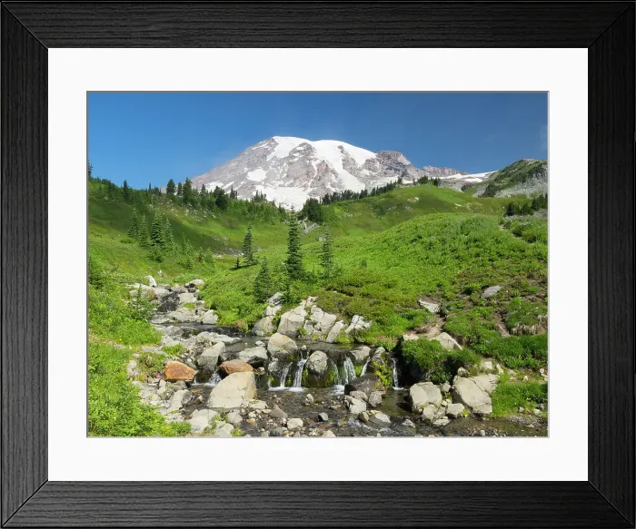 Framed Print : Washington State, Mount Rainier National Park. Edith Creek with snowcapped Mount Rainier Framed Print : Washington State, Mount Rainier National Park. Edith Creek with snowcapped Mount Rainier