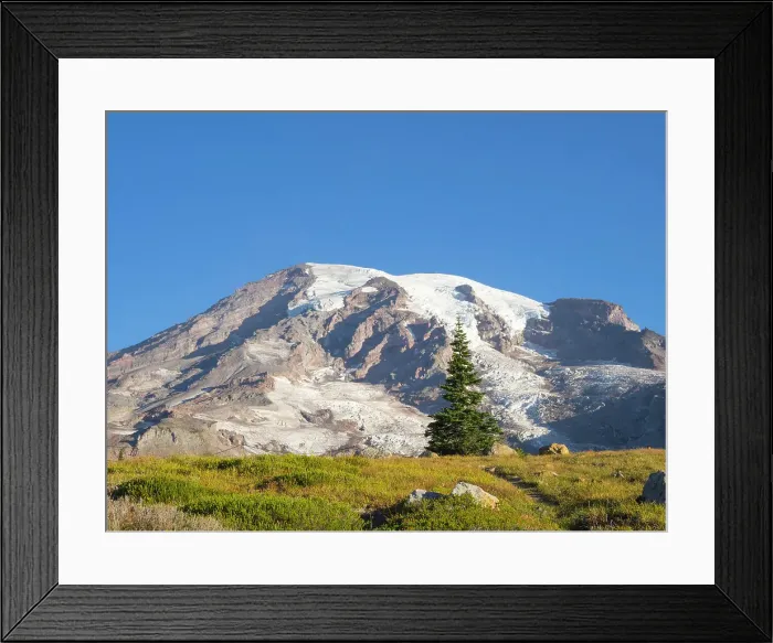 Framed Print : Washington State, Mount Rainier National Park. Early morning view of Mount Rainier with clear blue sky Framed Print : Washington State, Mount Rainier National Park. Early morning view of Mount Rainier with clear blue sky