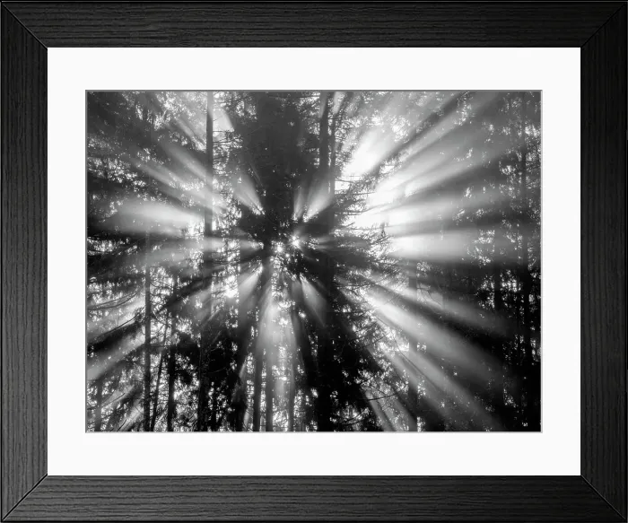 Framed Print : Washington State, Central Cascades. South Bessemer Mountain, sunrays in the morning Framed Print : Washington State, Central Cascades. South Bessemer Mountain, sunrays in the morning