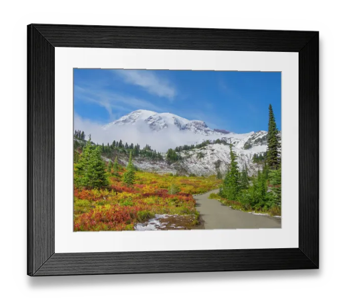 Framed Print : Washington State, Mount Rainier National Park. Mount Rainier with vibrant autumn colors and new snow on the mountain with clouds Framed Print : Washington State, Mount Rainier National Park. Mount Rainier with vibrant autumn colors and new snow on the mountain with clouds