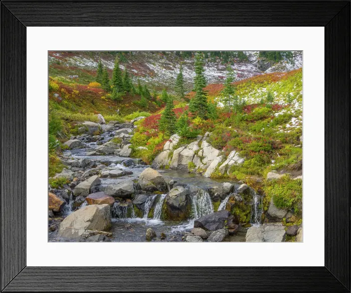 Framed Print : Washington State, Mount Rainier National Park. Edith Creek with bright vivid autumn colored foliage Framed Print : Washington State, Mount Rainier National Park. Edith Creek with bright vivid autumn colored foliage