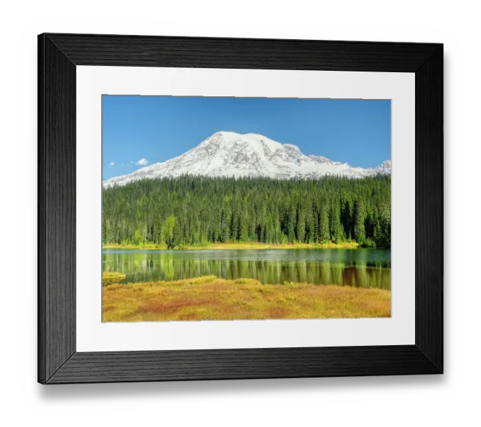 Framed Print : Washington State, Mount Rainier National Park. Autumn colored grasses and Mount Rainier with new snow, trees reflected in Reflection Lake Framed Print : Washington State, Mount Rainier National Park. Autumn colored grasses and Mount Rainier with new snow, trees reflected in Reflection Lake