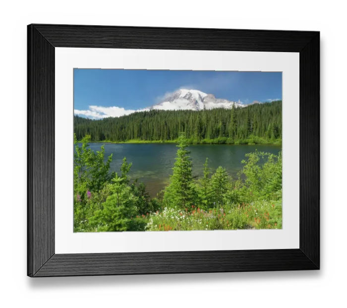 Framed Print : Washington State, Mount Rainier National Park. Mount Rainier with wildflowers at Reflection Lake