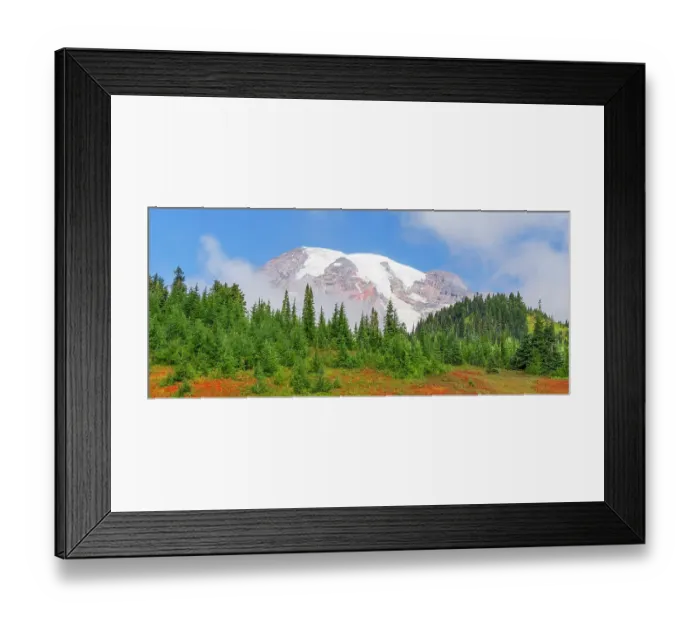Framed Print : Washington State, Mount Rainier National Park. Snow capped Mount Rainier with vibrant autumn colors Framed Print : Washington State, Mount Rainier National Park. Snow capped Mount Rainier with vibrant autumn colors