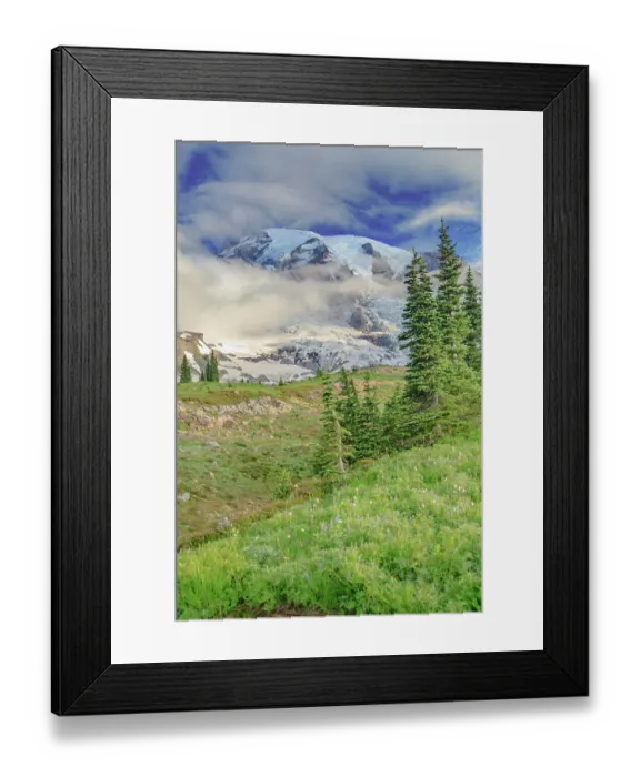 Framed Print : Mt. Rainier within the national park