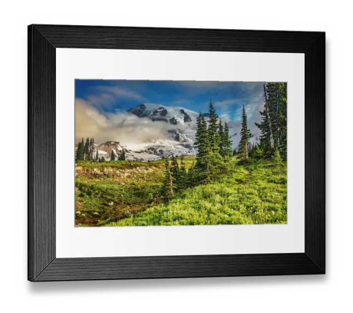 Framed Print : Mt. Rainier within the national park Framed Print : Mt. Rainier within the national park