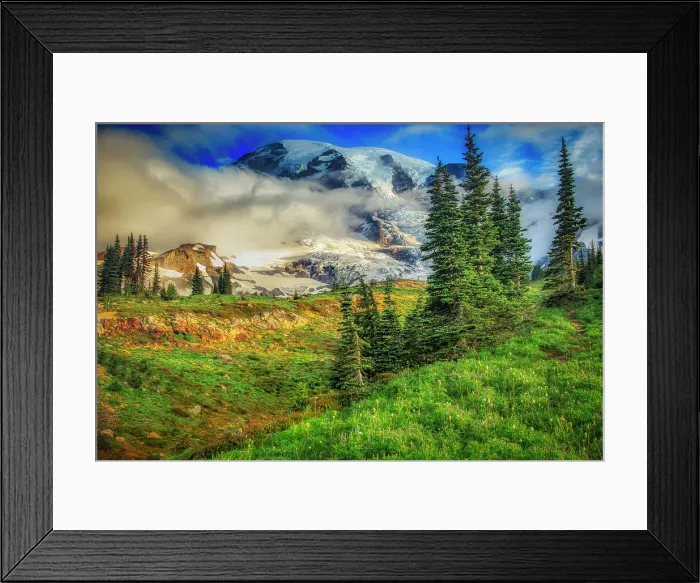 Framed Print : Mt. Rainier within the national park Framed Print : Mt. Rainier within the national park