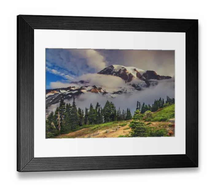 Framed Print : Mt. Rainier within the national park Framed Print : Mt. Rainier within the national park