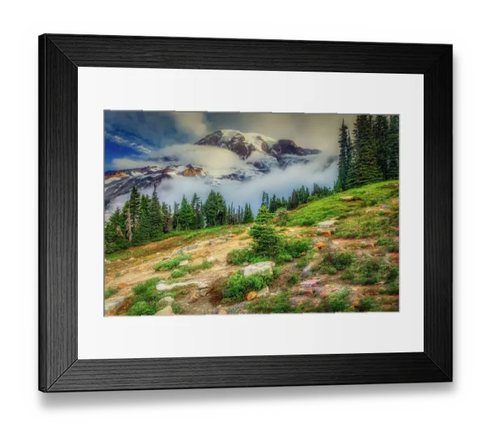 Framed Print : Mt. Rainier within the national park