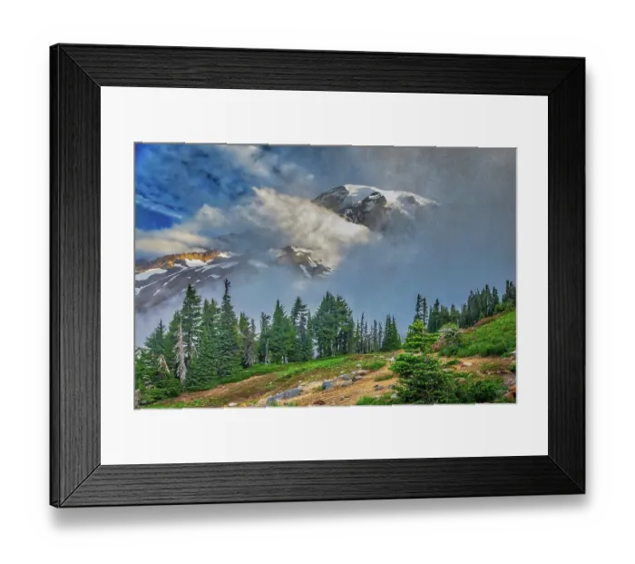 Framed Print : Mt. Rainier within the national park Framed Print : Mt. Rainier within the national park