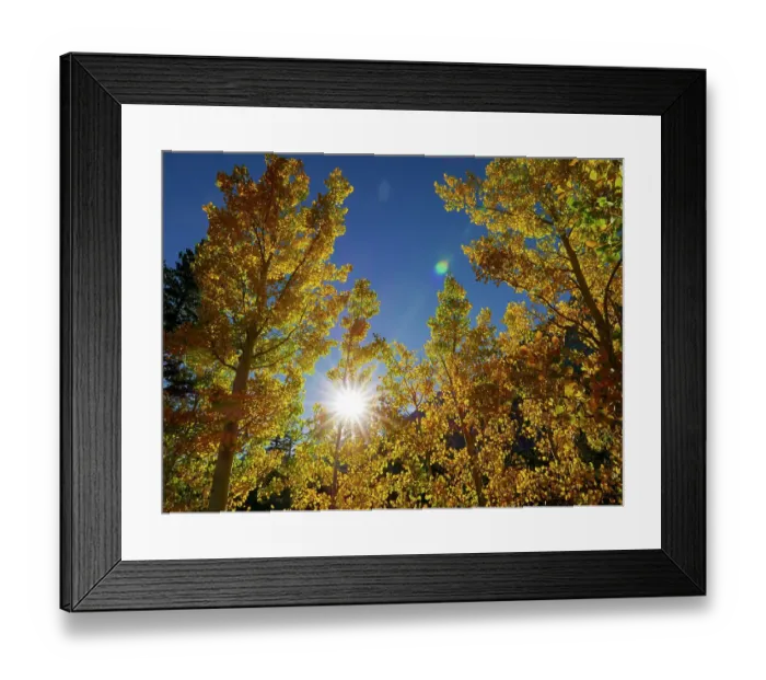 Framed Print : Fall, Eastern Sierras, Bishop, California Framed Print : Fall, Eastern Sierras, Bishop, California