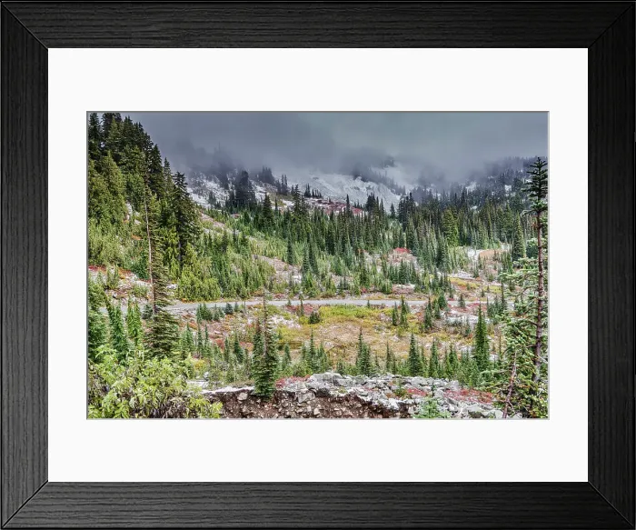 Framed Print : Stevens Canyon Area of Mt. Rainier National Park Framed Print : Stevens Canyon Area of Mt. Rainier National Park
