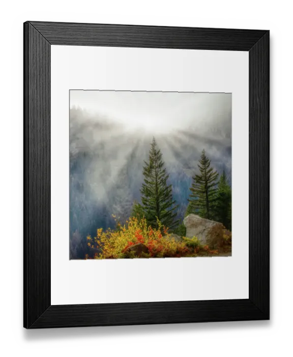 Framed Print : Stevens Canyon Area of Mt. Rainier National Park