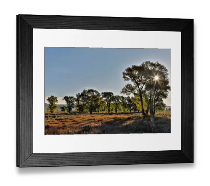 Framed Print : USA, Wyoming. Grand Tetons National Park and Mormon Row with sun and silhouetted cottonwood trees Framed Print : USA, Wyoming. Grand Tetons National Park and Mormon Row with sun and silhouetted cottonwood trees