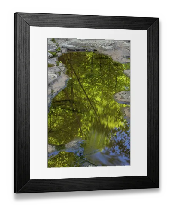 Framed Print : USA, West Virginia, New River Gorge National Park. Forest reflection in pond. ©Jay O'Brien / Jaynes Gallery / DanitaDelimont.com Framed Print : USA, West Virginia, New River Gorge National Park. Forest reflection in pond. ©Jay O'Brien / Jaynes Gallery / DanitaDelimont.com