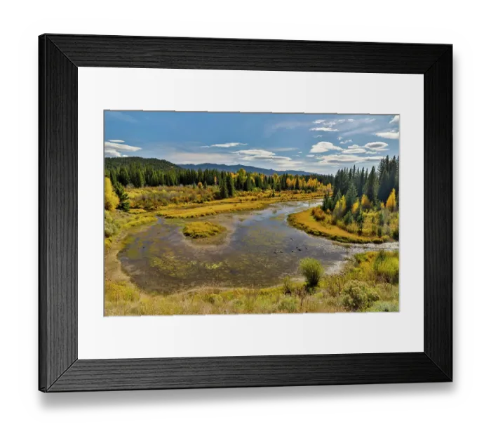 Framed Print : USA, Wyoming. Grand Tetons National Park bend in the Buffalo Fork River along Highway 26 with golden Fall Colors Framed Print : USA, Wyoming. Grand Tetons National Park bend in the Buffalo Fork River along Highway 26 with golden Fall Colors