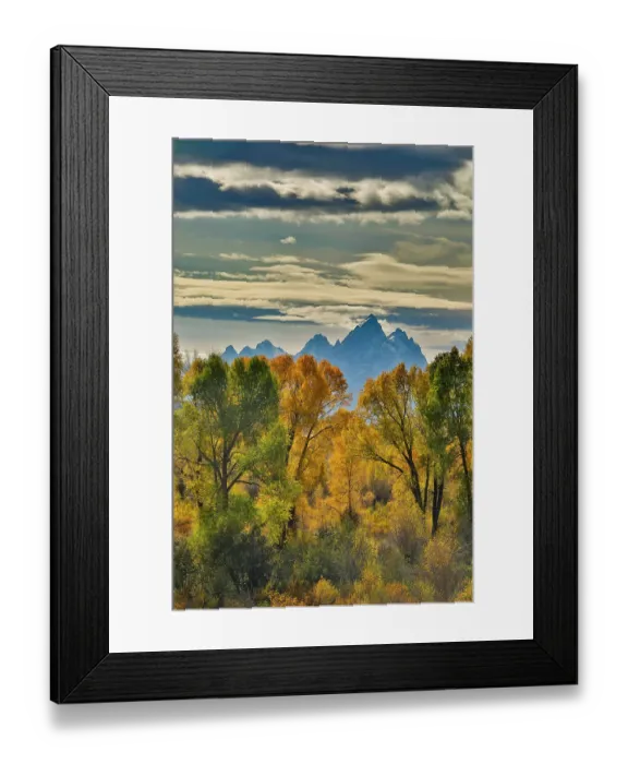 Framed Print : USA, Wyoming. Buffalo Valley Road and Buffalo Fork River with Autumn Colors on cottonwood trees and backdrop of the Teton Mountains Framed Print : USA, Wyoming. Buffalo Valley Road and Buffalo Fork River with Autumn Colors on cottonwood trees and backdrop of the Teton Mountains