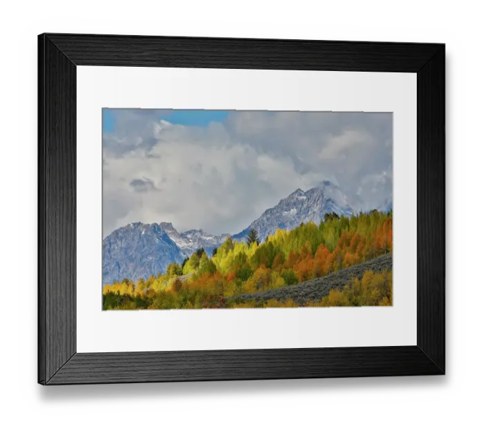 Framed Print : USA, Wyoming. Grand Tetons National Park near Oxbow Bend on the Snake River with Fall colored Aspen grove and backdrop Teton Mountains coming through low clouds Framed Print : USA, Wyoming. Grand Tetons National Park near Oxbow Bend on the Snake River with Fall colored Aspen grove and backdrop Teton Mountains coming through low clouds