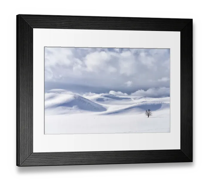 Framed Print : USA, Wyoming, Yellowstone National Park, Hayden Valley. The snow covered hills with a dead tree stand lonely against a stormy sky Framed Print : USA, Wyoming, Yellowstone National Park, Hayden Valley. The snow covered hills with a dead tree stand lonely against a stormy sky