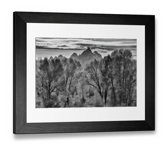Framed Print : USA, Wyoming. Buffalo Valley Road and Buffalo Fork River with Autumn Colors on cottonwood trees and backdrop of the Teton Mountains Framed Print : USA, Wyoming. Buffalo Valley Road and Buffalo Fork River with Autumn Colors on cottonwood trees and backdrop of the Teton Mountains