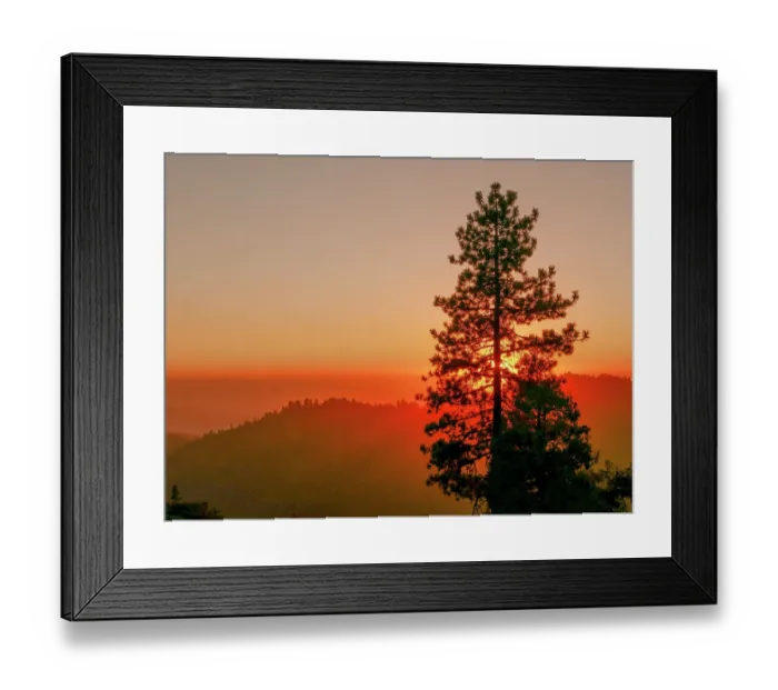 Framed Print : Sequoia National Park, California Framed Print : Sequoia National Park, California