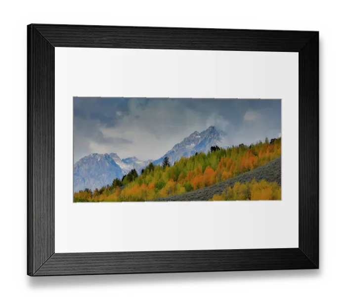 Framed Print : USA, Wyoming. Grand Tetons National Park near Oxbow Bend on the Snake River with Fall colored Aspen grove and backdrop Teton Mountains coming through low clouds