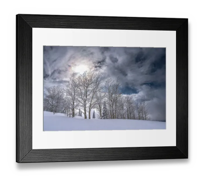 Framed Print : USA, Wyoming. Landscape of Aspen and subalpine fir trees after new snow