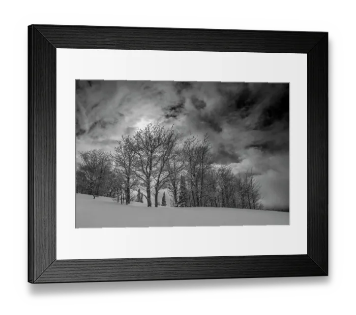 Framed Print : USA, Wyoming. Landscape of Aspen and subalpine fir trees after new snow