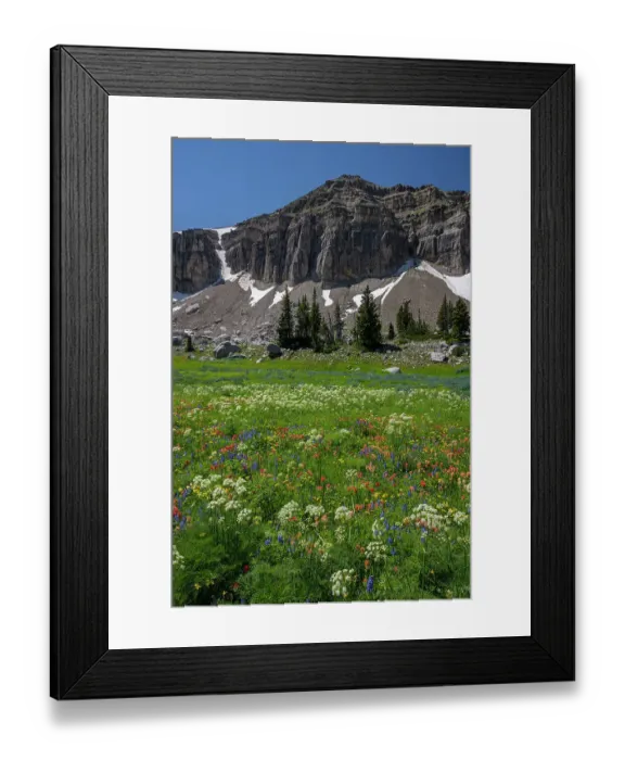 Framed Print : USA, Wyoming. Meadow of wildflowers, Teton Mountains