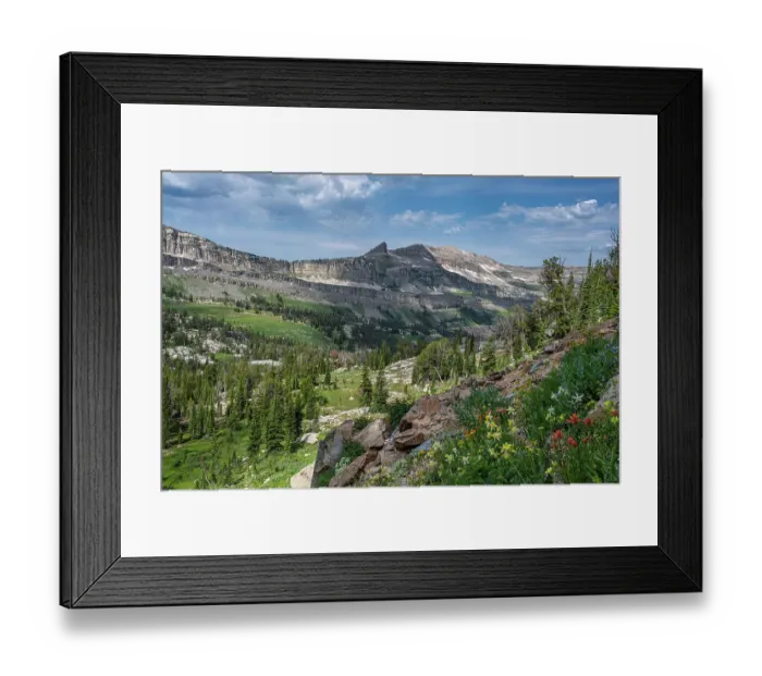 Framed Print : USA, Wyoming. Teton Mountains, Wedge Mountain and wildflowers in Alaska Basin Framed Print : USA, Wyoming. Teton Mountains, Wedge Mountain and wildflowers in Alaska Basin