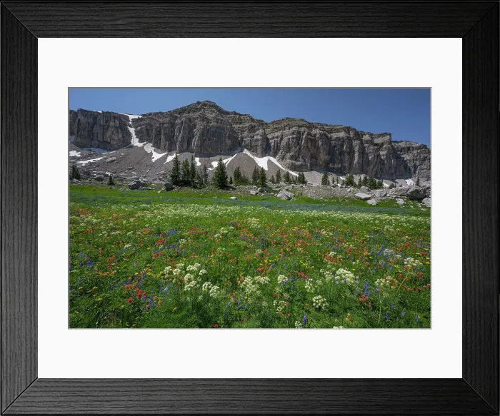 Framed Print : USA, Wyoming. Meadow of wildflowers, Teton Mountains
