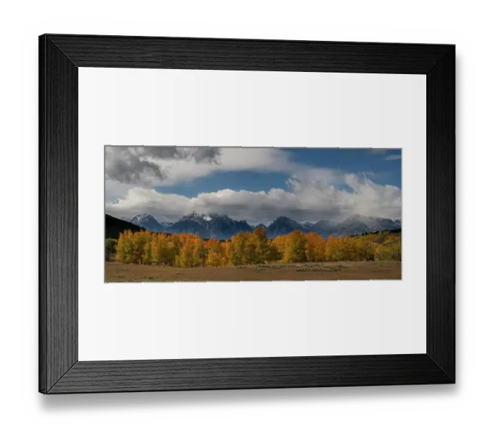 Framed Print : USA, Wyoming. Panoramic view of Mount Moran and fall Cottonwood and Aspen trees, Oxbow Bend area, Grand Teton National Park