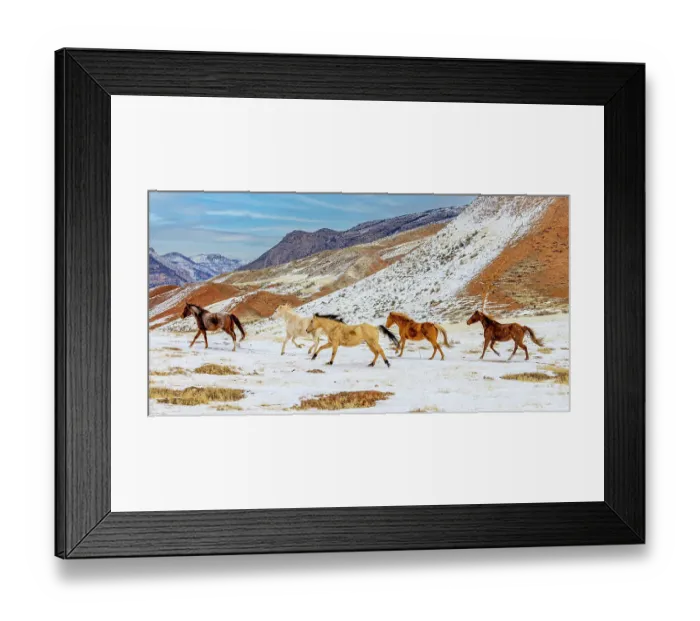 Framed Print : USA, Wyoming, Shell. Hideout Ranch, Big Horn Mountain Range