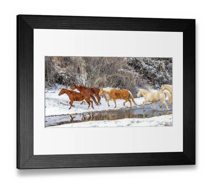 Framed Print : USA, Wyoming, Shell. Hideout Ranch, Big Horn Mountain Range Framed Print : USA, Wyoming, Shell. Hideout Ranch, Big Horn Mountain Range