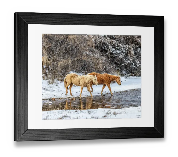 Framed Print : USA, Wyoming, Shell. Hideout Ranch, Big Horn Mountain Range