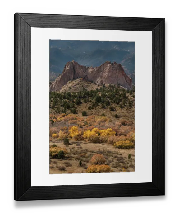 Framed Print : USA, Colorado, Colorado Springs. Fall cottonwood trees and mountain in Garden of the Gods Park Framed Print : USA, Colorado, Colorado Springs. Fall cottonwood trees and mountain in Garden of the Gods Park