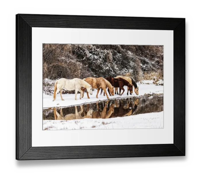 Framed Print : USA, Wyoming, Shell. Hideout Ranch, Big Horn Mountain Range Framed Print : USA, Wyoming, Shell. Hideout Ranch, Big Horn Mountain Range