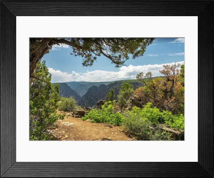 Framed Print : USA, Colorado, Black Canyon of the Gunnison National Park. North Rim, Gunnison River, Narrows View