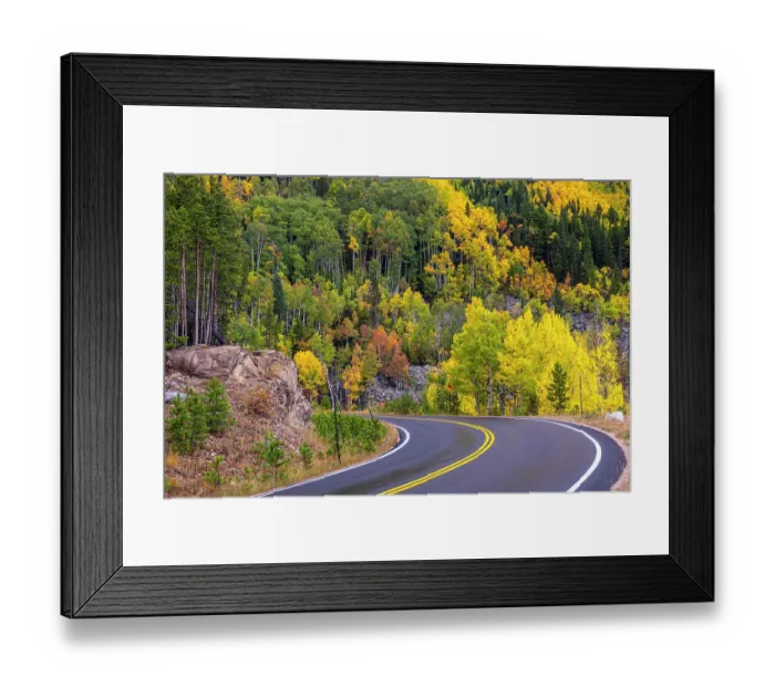 Framed Print : Road, fall colors. Colorado Framed Print : Road, fall colors. Colorado