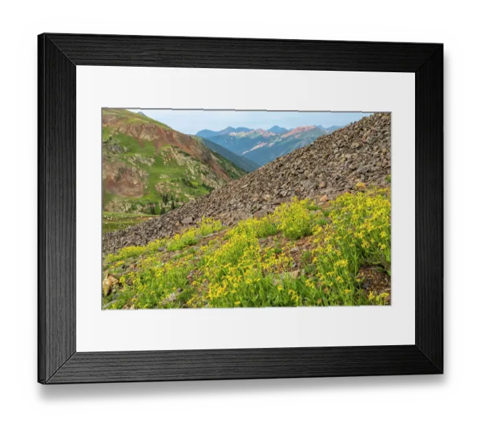 Framed Print : USA, Colorado, San Juan Mountains. Hurricane Pass and wildflowers Framed Print : USA, Colorado, San Juan Mountains. Hurricane Pass and wildflowers
