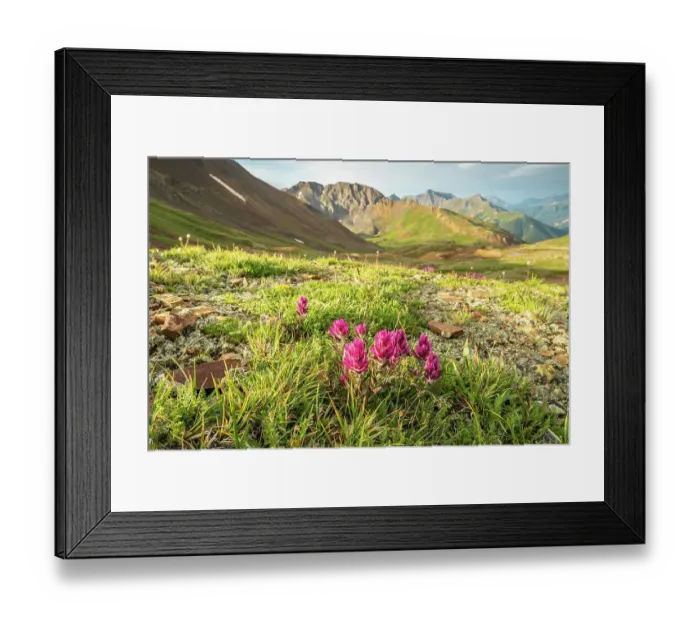 Framed Print : USA, Colorado, San Juan Mountains. Hurricane Pass and wildflowers Framed Print : USA, Colorado, San Juan Mountains. Hurricane Pass and wildflowers