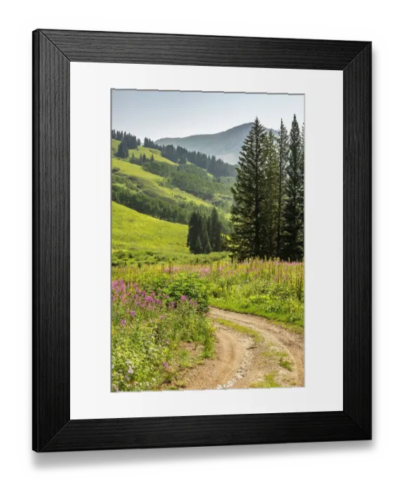 Framed Print : USA, Colorado, Gunnison National Forest. Fireweed and road in mountain meadow