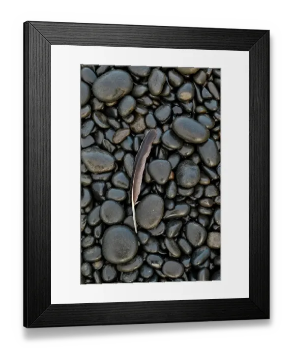 Framed Print : USA, Oregon, Arch Cape. Pacific coastline and round black shiny rocks with bald eagle feathers