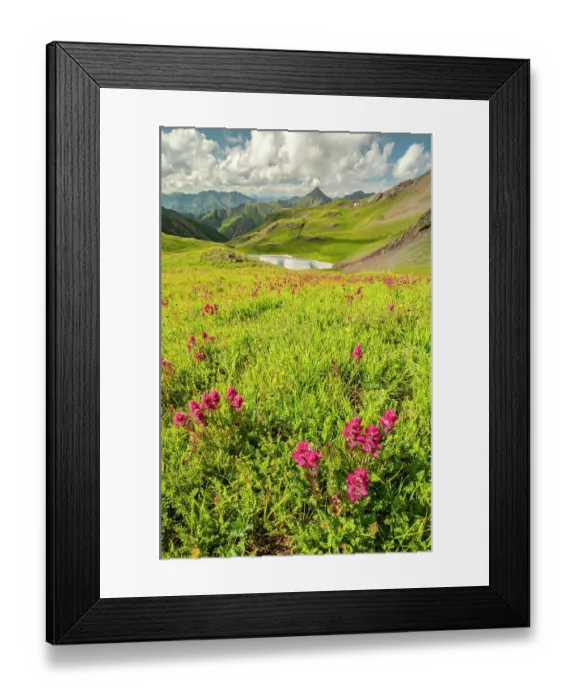 Framed Print : USA, Colorado, San Juan Mountains. Indian paintbrush flowers and lake in Placer Gulch