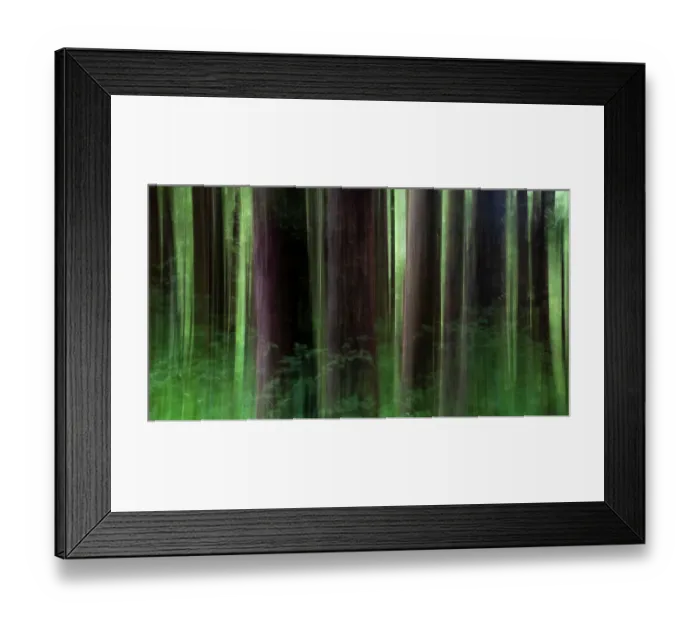 Framed Print : USA, Oregon, Arch Cape. Pacific coastline tree trunk design with Sitka Spruce Framed Print : USA, Oregon, Arch Cape. Pacific coastline tree trunk design with Sitka Spruce