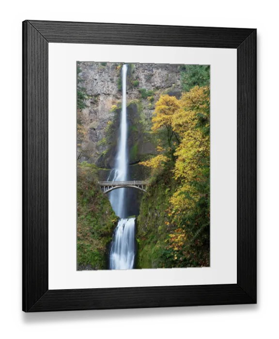 Framed Print : USA, Oregon, Columbia River Gorge National Scenic Area. Multnomah Falls in Fall colors Framed Print : USA, Oregon, Columbia River Gorge National Scenic Area. Multnomah Falls in Fall colors