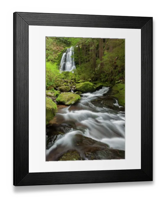 Framed Print : USA, Oregon, Siuslaw National Forest. Upper Kentucky Falls Framed Print : USA, Oregon, Siuslaw National Forest. Upper Kentucky Falls